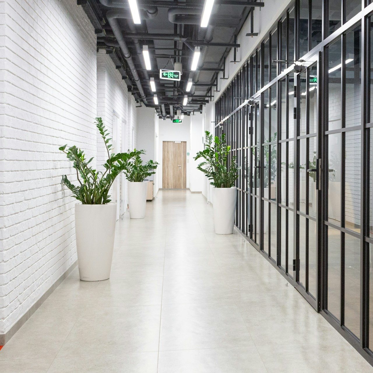 Bright building corridor with white brick walls and potted plants