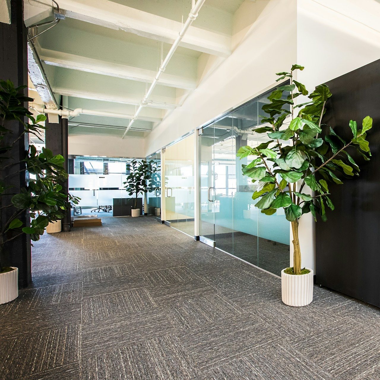 Bright office corridor with glass-walled meeting rooms and potted plants